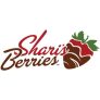 Shari’s Berries: Best Seller – Santa Reindeer from $39.99