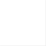 Capitalize Test Link